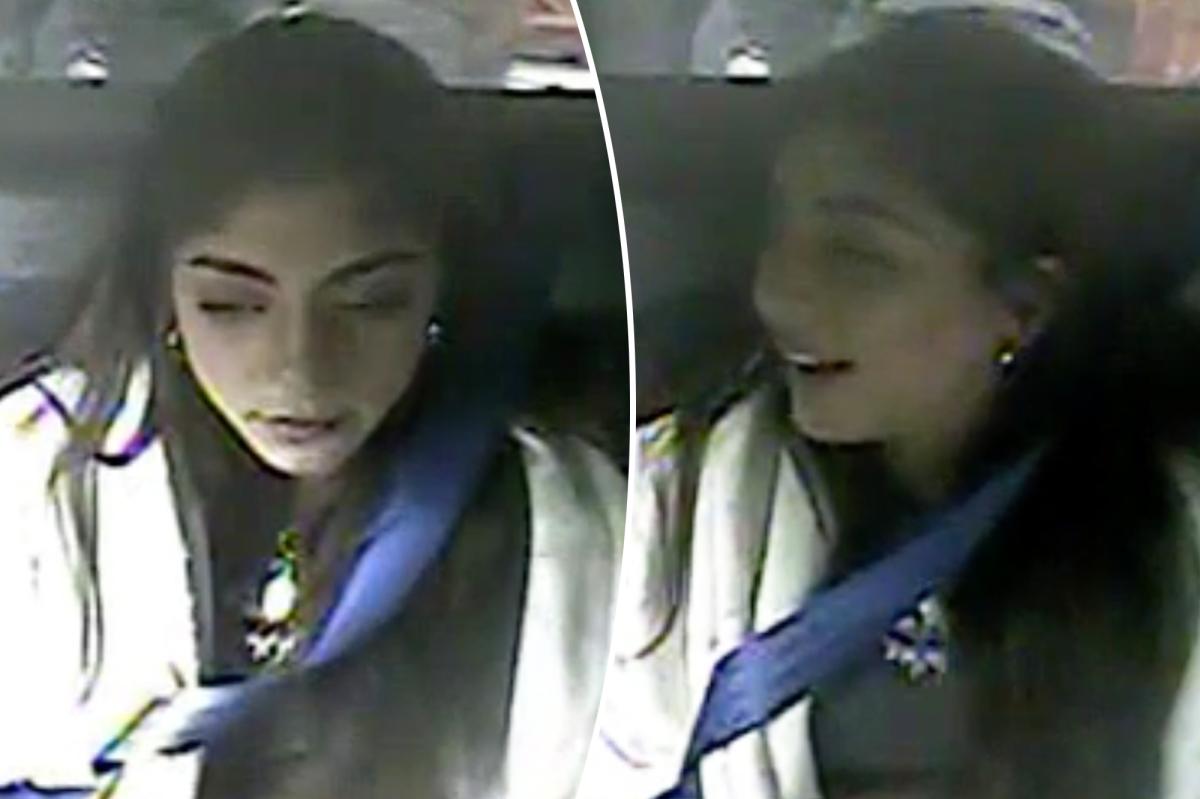 Milania Giudice laughs in back of cop car after domestic violence arrest