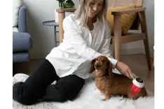 A dog being brushed with a red light therapy tool.