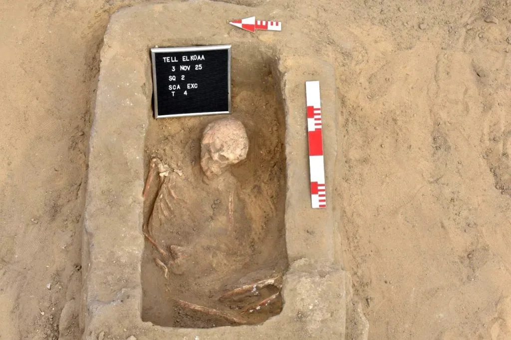 Skeletal remains unearthed at the Tell el-Koua site in Egypt.