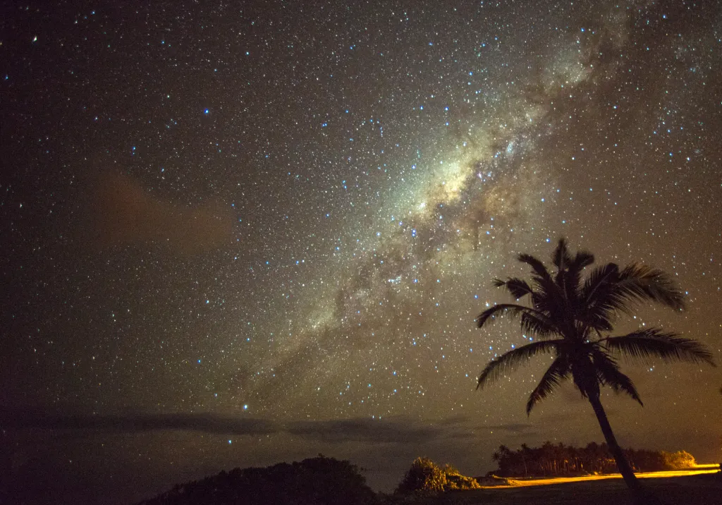 Night sky with the Milky Way visible, and the silhouette of a palm tree in the foreground.