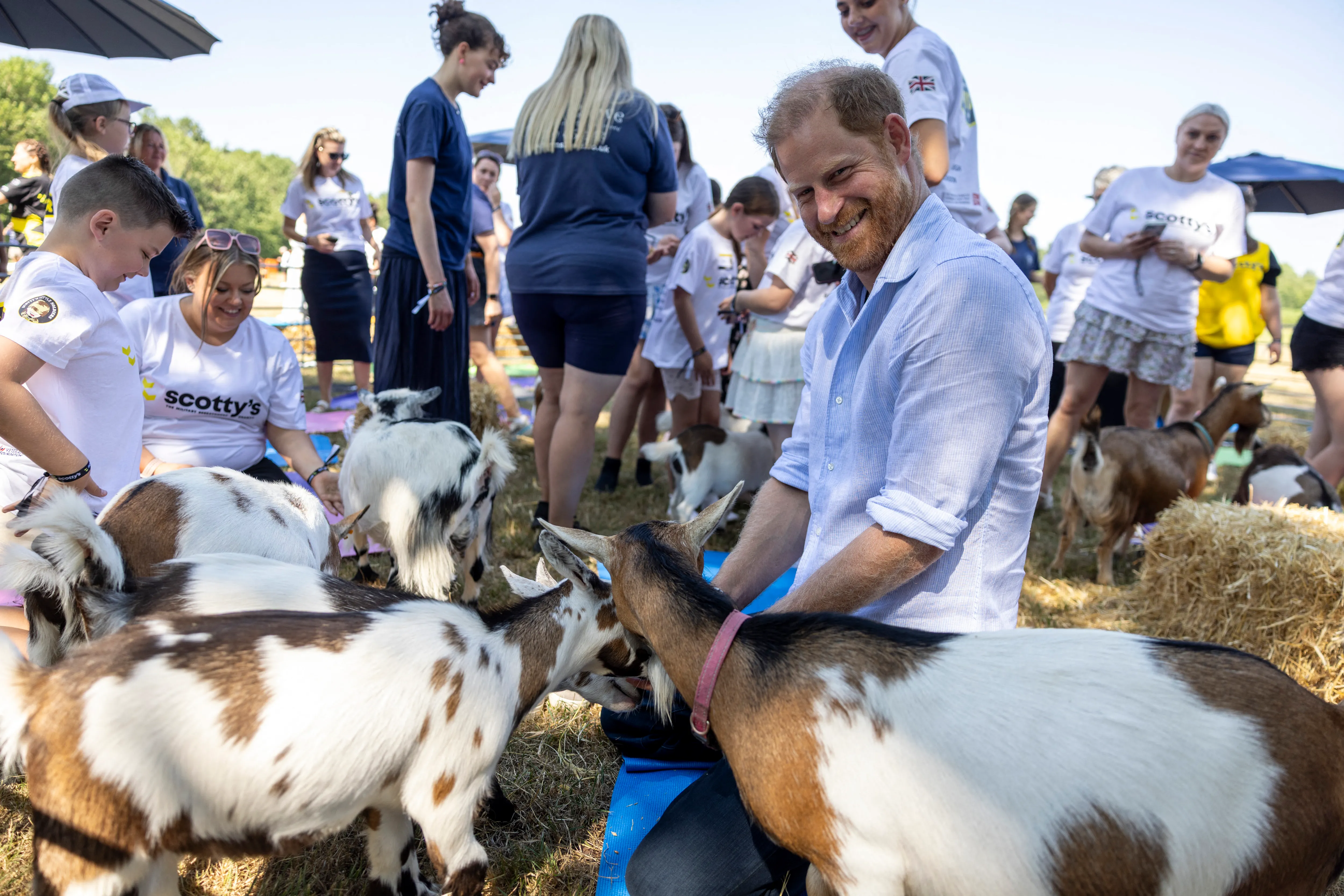 Prince Harry smiles while interacting with goats during a 