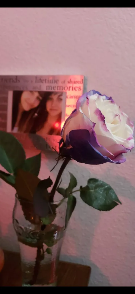 A photo of the two friends in a frame behind a flower. 