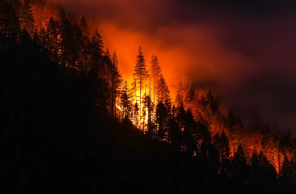 Wildfire burning through a dense forest at night, casting an orange glow across the sky.