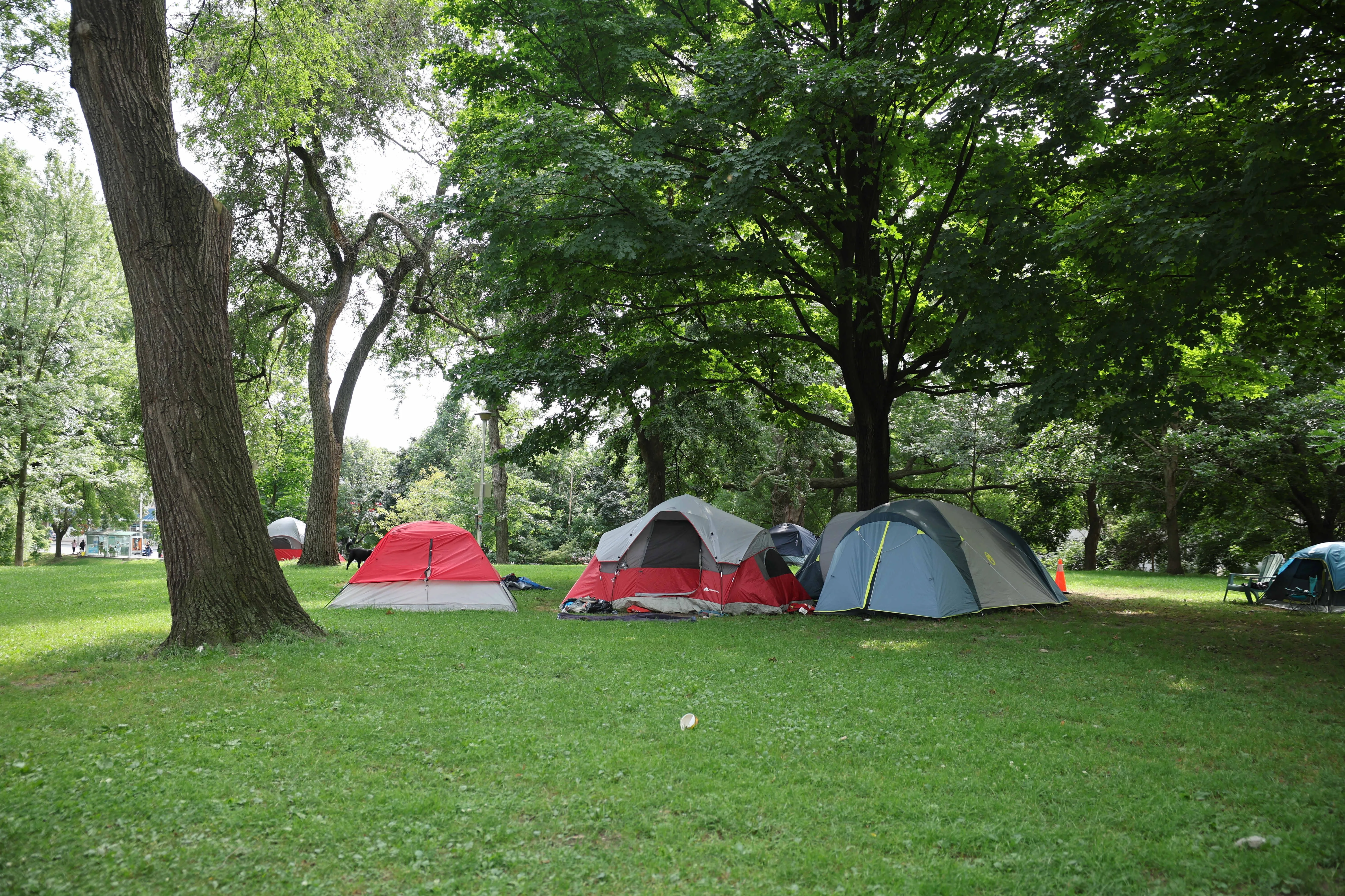 camp