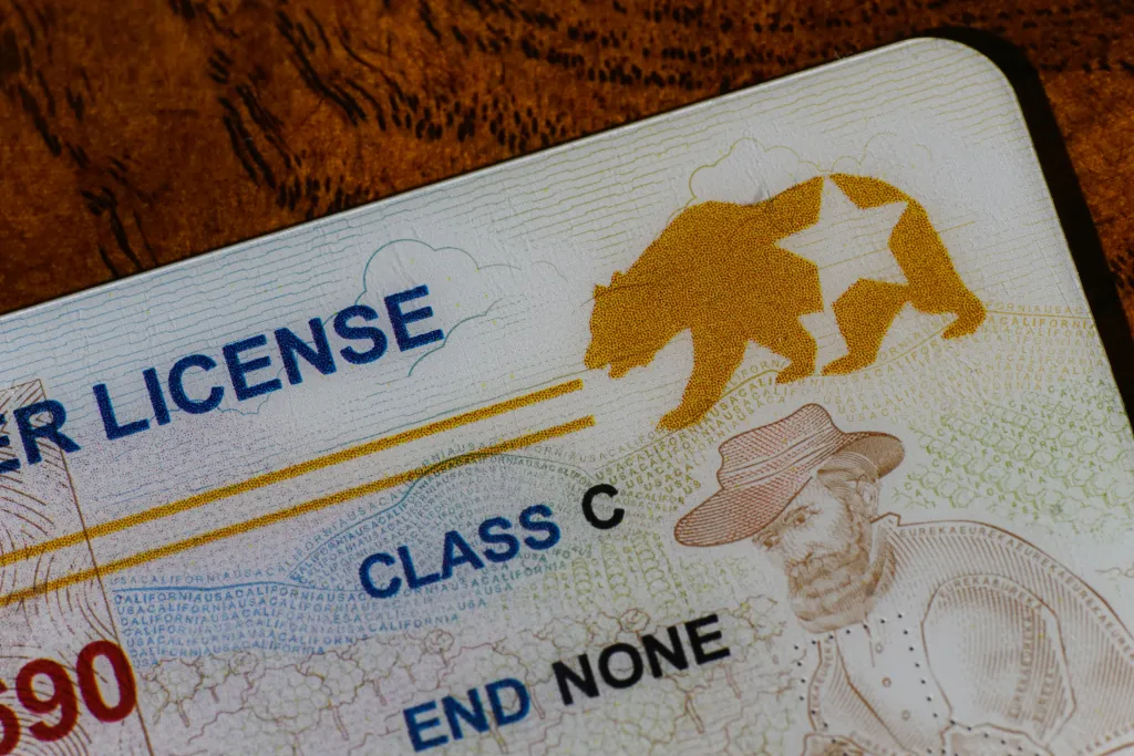 Close-up of a California Real ID driver's license with a bear and star logo.