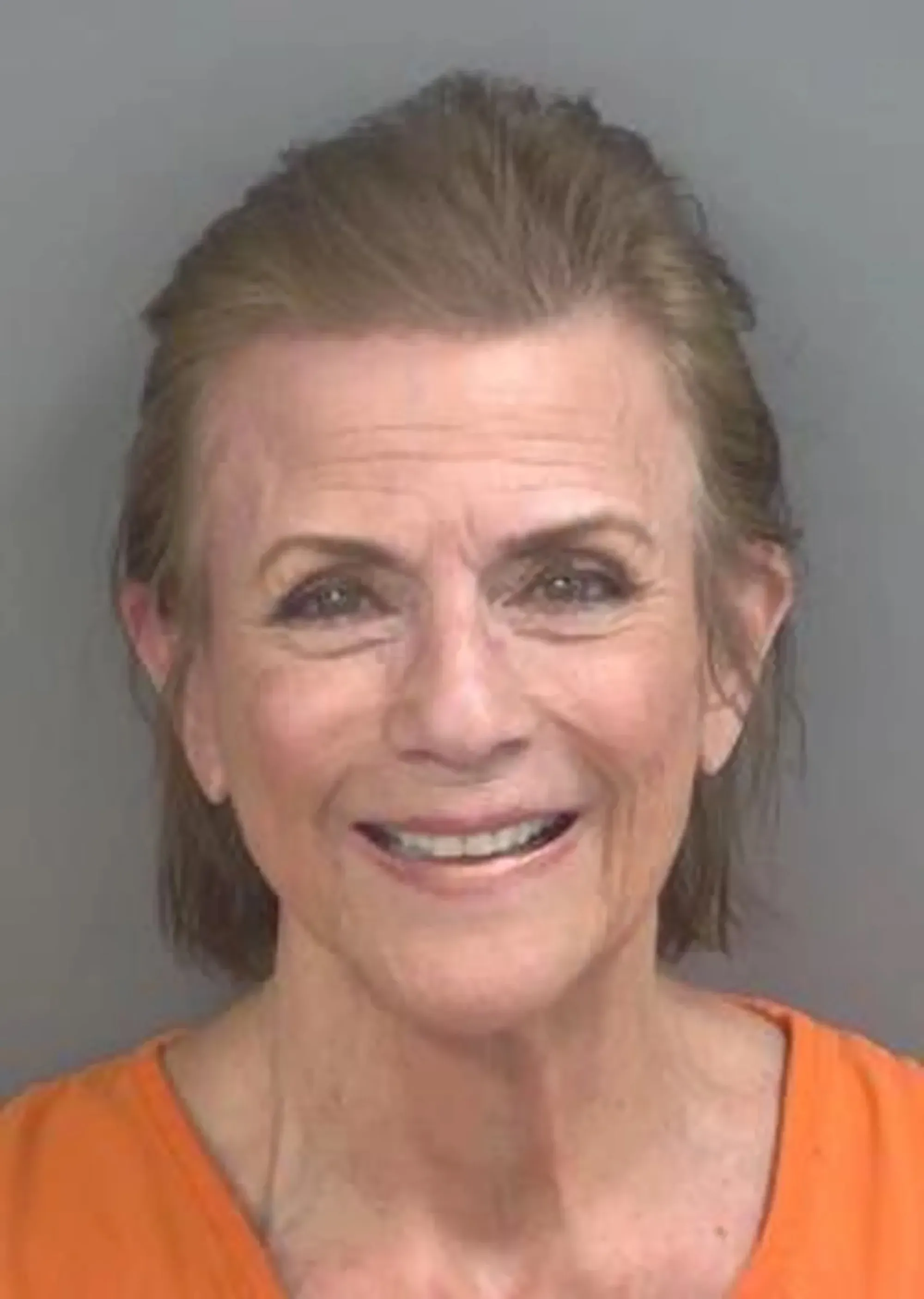 Colleen Zenk mugshot