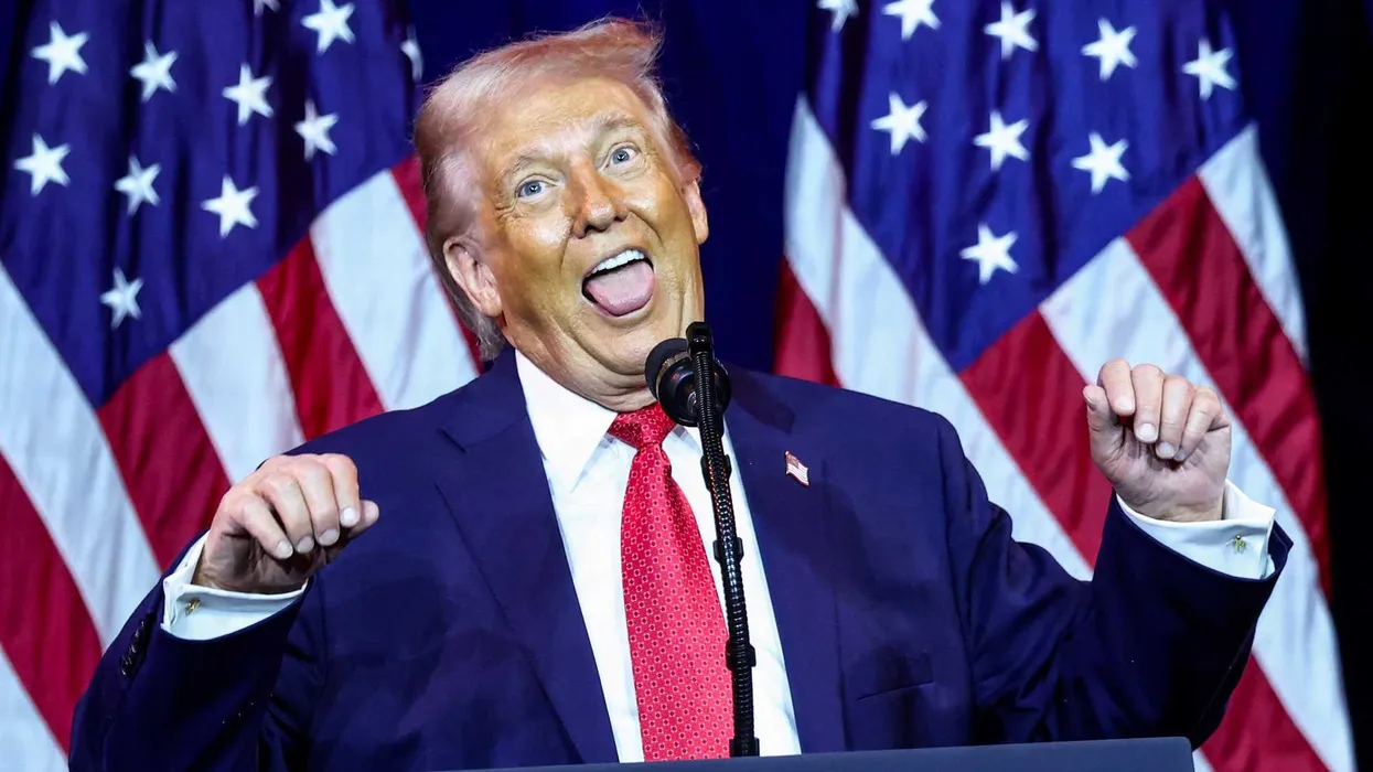 ‘Right-wing fantasy’: Analyst reveals why MAGA thinks AI hallucinations are worth the risk