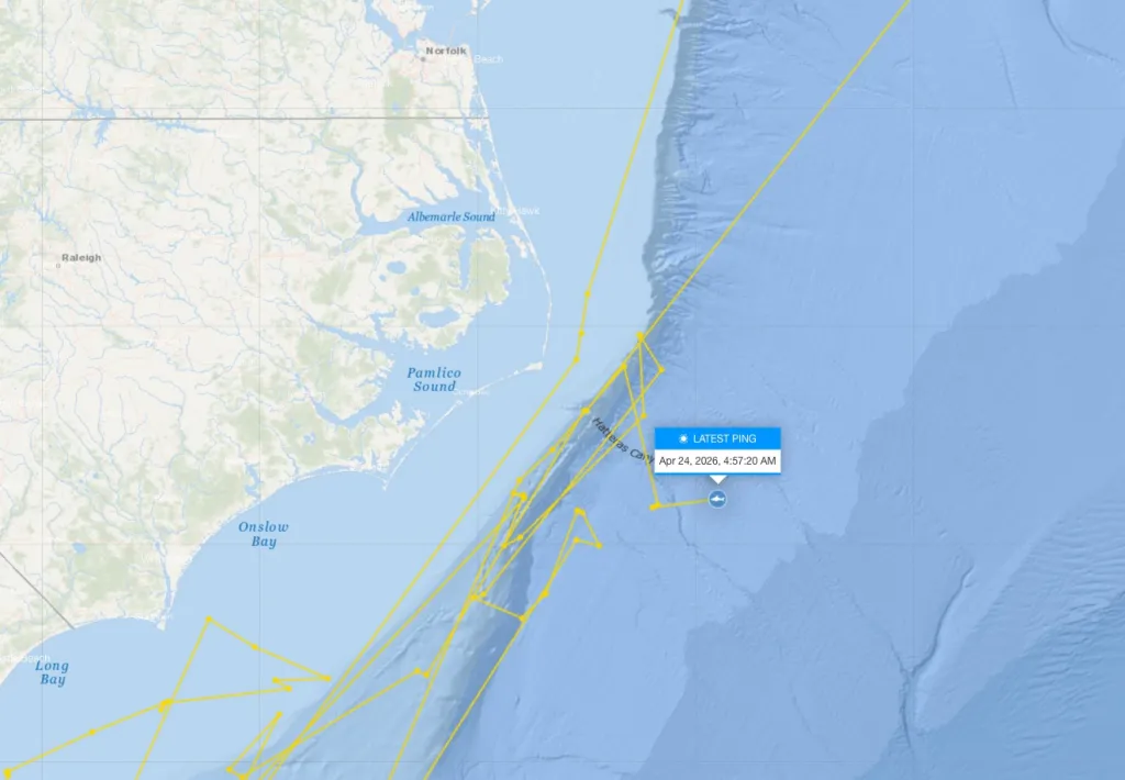 Contender's last known location was off the coast of the Outer Banks in April.