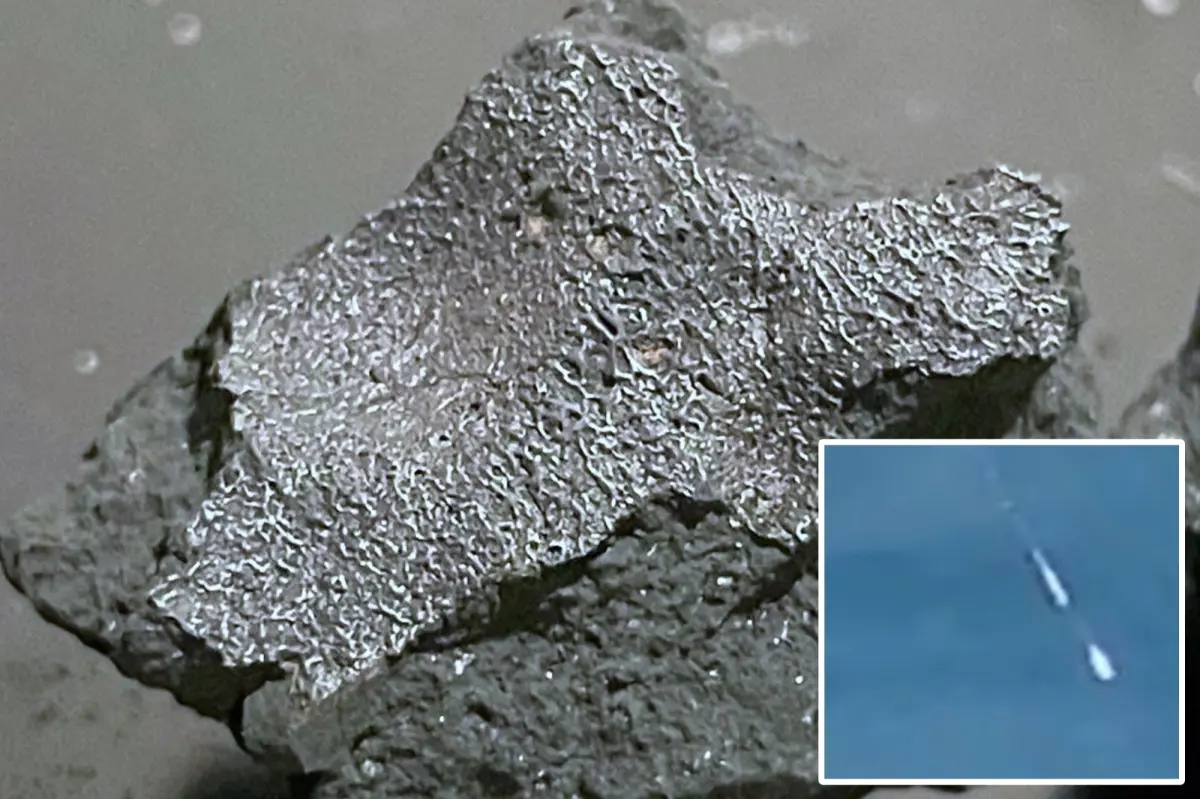 ‘Alien chemistry’ meteorite that slammed NJ home is among rarest space rocks ever recovered