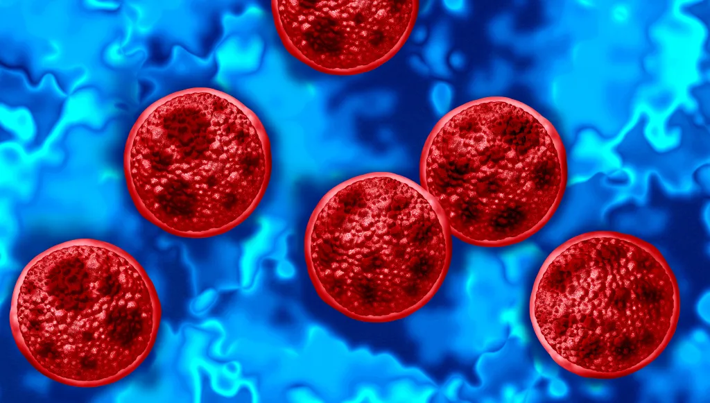 Illustration of red Cyclospora cayetanensis parasites against a blue background.
