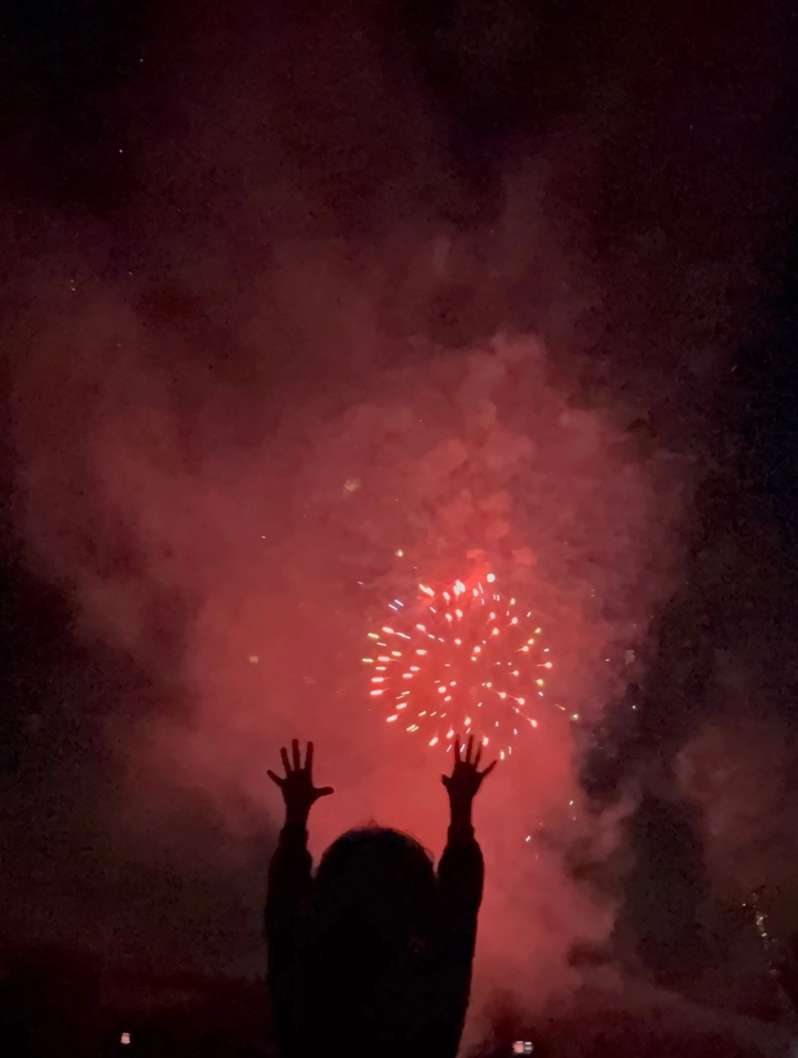 A silhouetted person with arms raised, watching a red fireworks display.