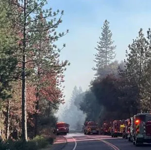 Firetrucks on a smoky road near a forest during the Dove Fire.