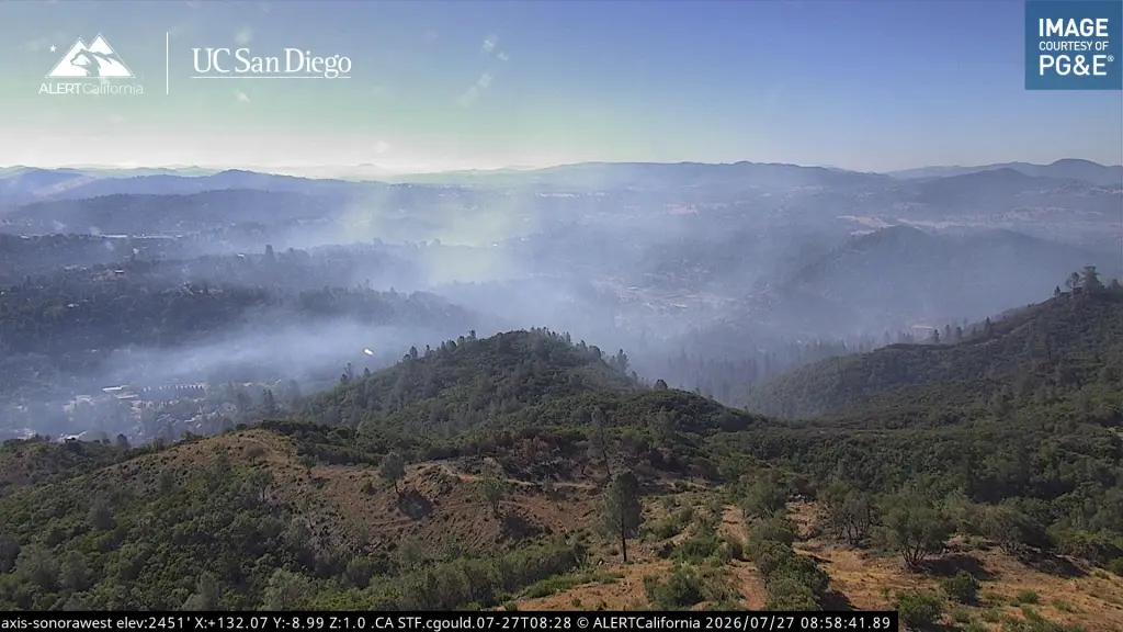 Smoke rising from the Dove Fire over a forested landscape.