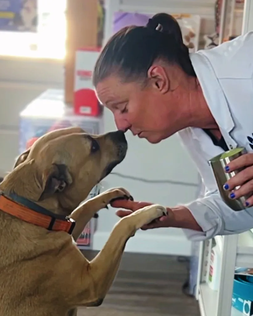Dr. Molly Miosek touching noses with a tan dog while holding its paw.