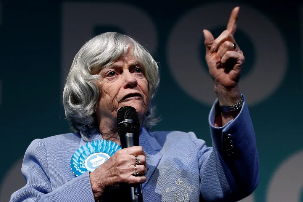 Ann Widdecombe speaks at a Brexit Party campaign event.
