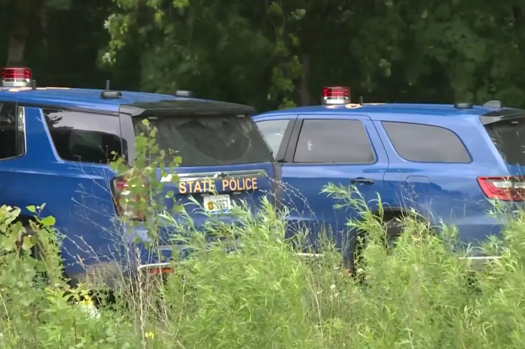 Two blue State Police SUVs with flashing lights partially obscured by tall green grass.