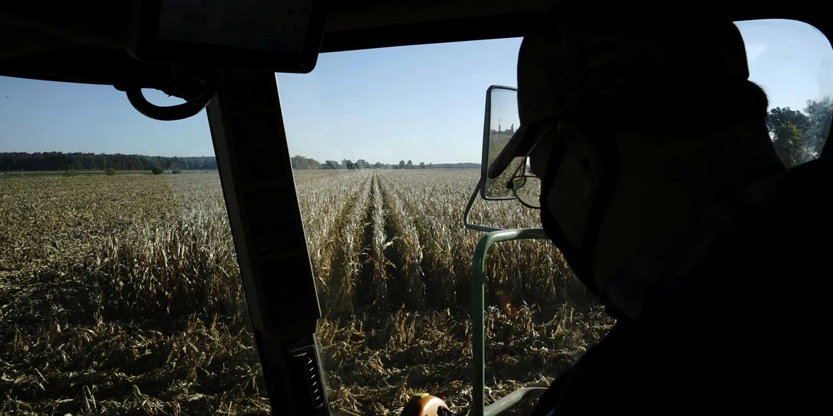 ‘Rude awakening’: farmers say Trump’s ‘drastic’ DEI policy hits them where it hurts