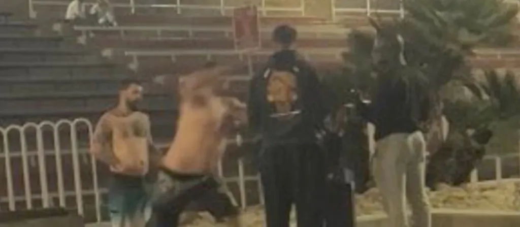 Still image of an alleged racist attack near Oceanside Pier, showing three men engaged in a physical altercation.