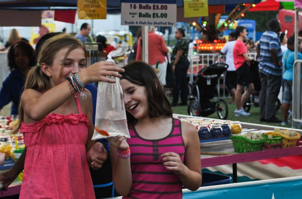A Queens pol is pushing new legislation to ban giving away live fish as novelty prizes at NYC-based fairs, carnivals and other festivals.