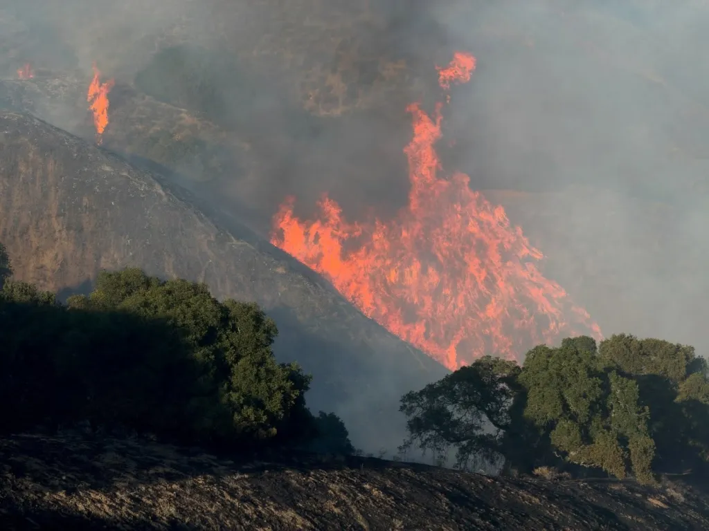 Wildfire burning on a hillside, with thick smoke rising and trees in the foreground.
