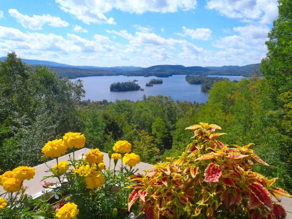 View of the Hudson River in New York, with yellow flowers and autumn-colored plants in the foreground.