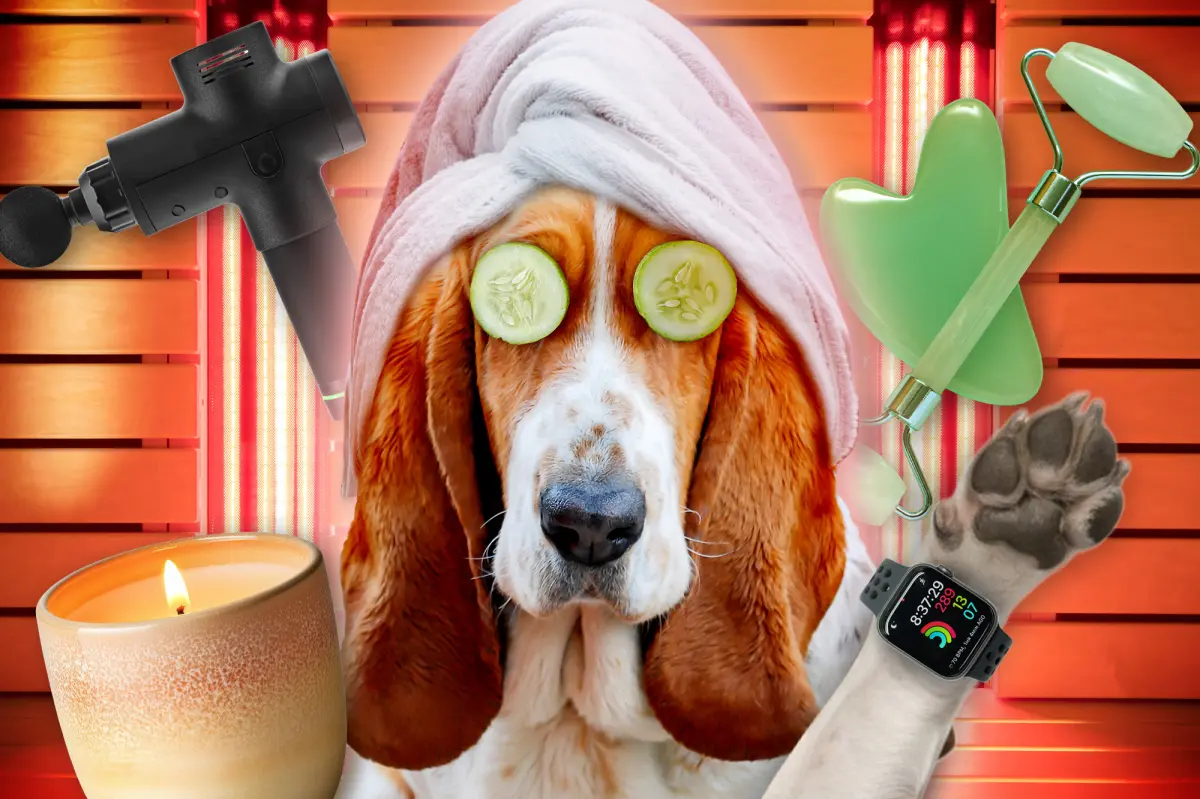 Meet the pet owners spending thousands of dollars on doggy wellness — from $800 red light therapy to $750 PEMF beds