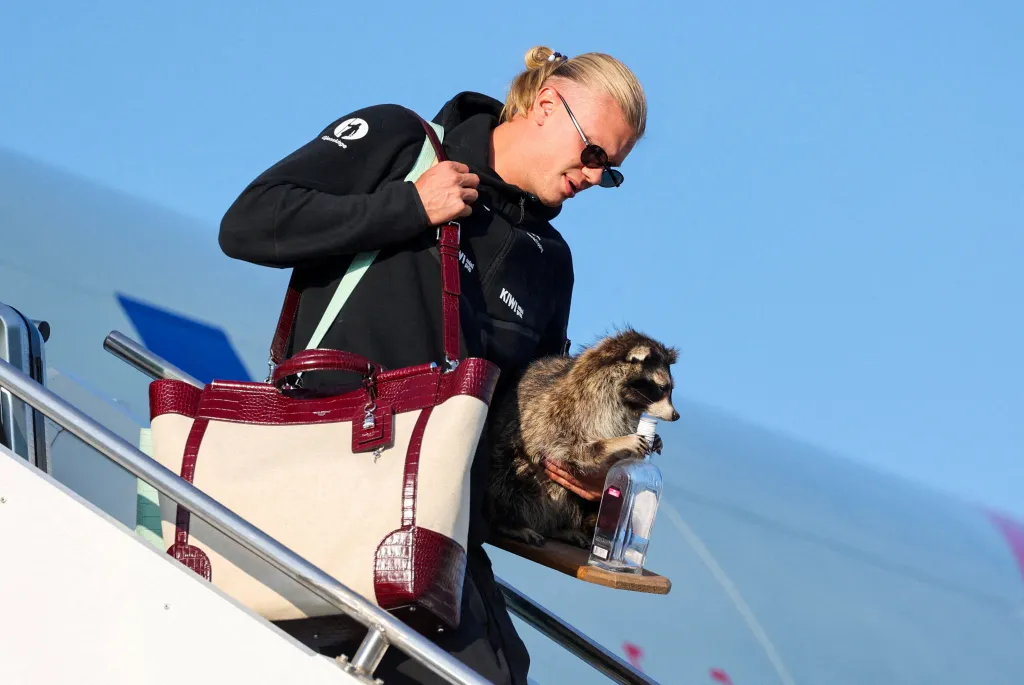 Erling Braut Haaland carries a stuffed raccoon as he gets off a plane.