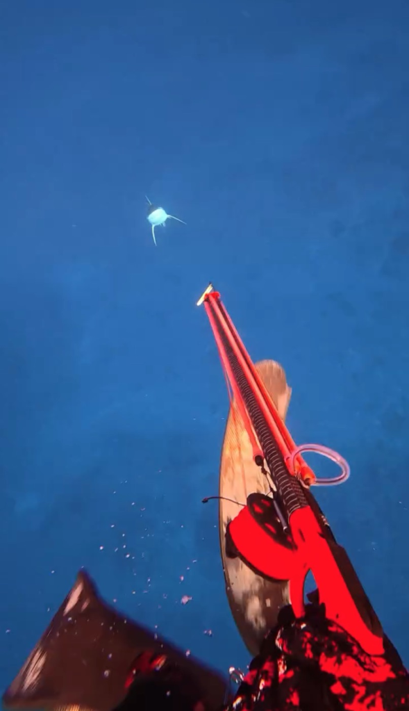 A shark swimming towards a person in blue water.