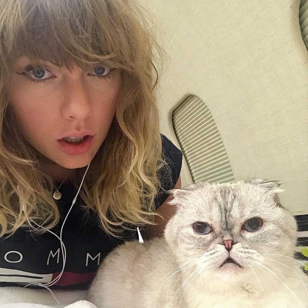 Taylor Swift taking a selfie with her cat, Olivia Benson.