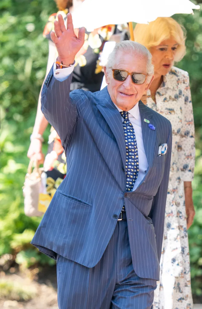 King Charles III in a blue pinstripe suit, sunglasses, and an elephant-patterned tie waves while visiting London Zoo.