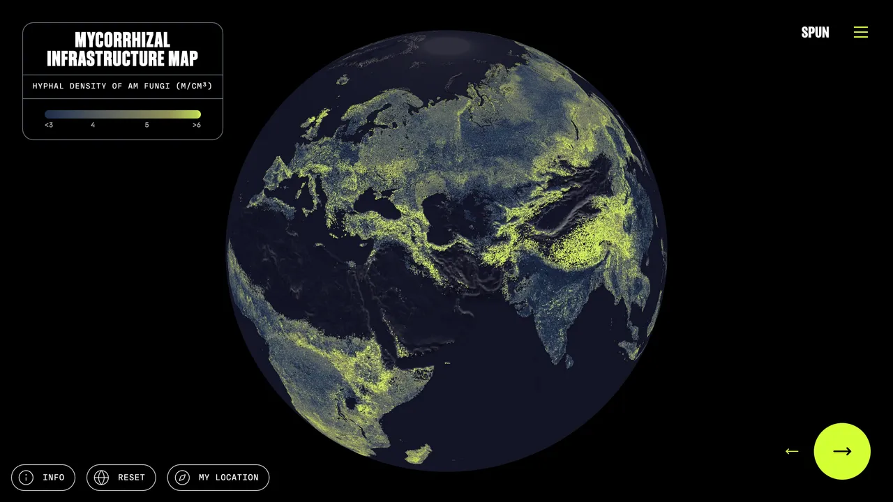 There’s a Global Network of Fungi Under Your Feet. This Is the First Complete Map