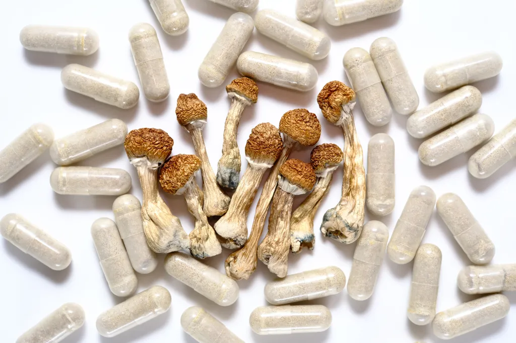 Dried psilocybin mushrooms and capsules containing psilocybin powder.