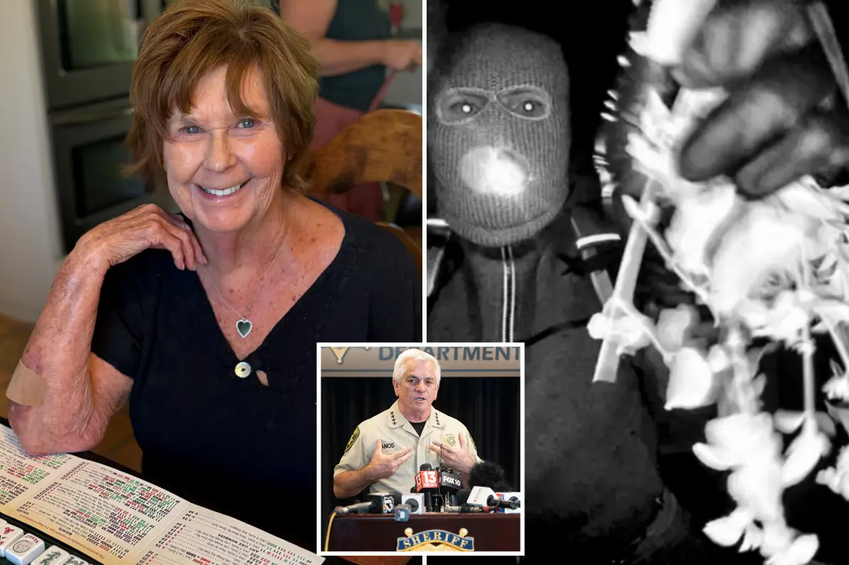 Sheriff discloses ‘complex and time-intensive’ analysis in Nancy Guthrie search as six-month mark nears