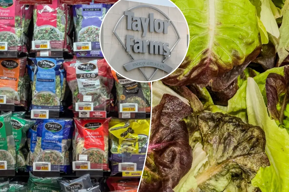 Can we eat lettuce again? The truth about salad risk amid ‘explosive diarrhea’ parasite outbreak