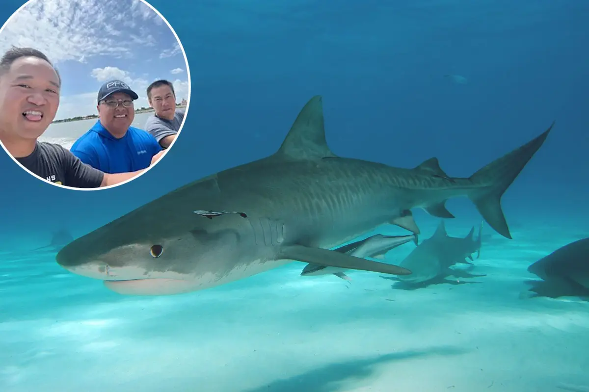Come hell or high water: How three friends survived a shipwreck and a shark attack in the Gulf of Mexico