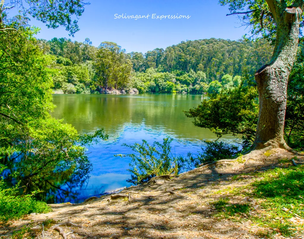 Lake Anza in Tilden National Forest, showing tranquil green water surrounded by a lush forest under a clear blue sky.