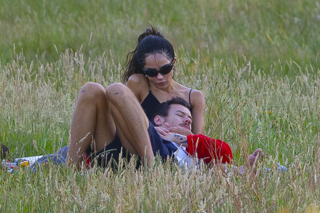 Harry Styles lying on a picnic blanket in tall grass with his head resting on Zoe Kravitz's lap as she looks down at him.