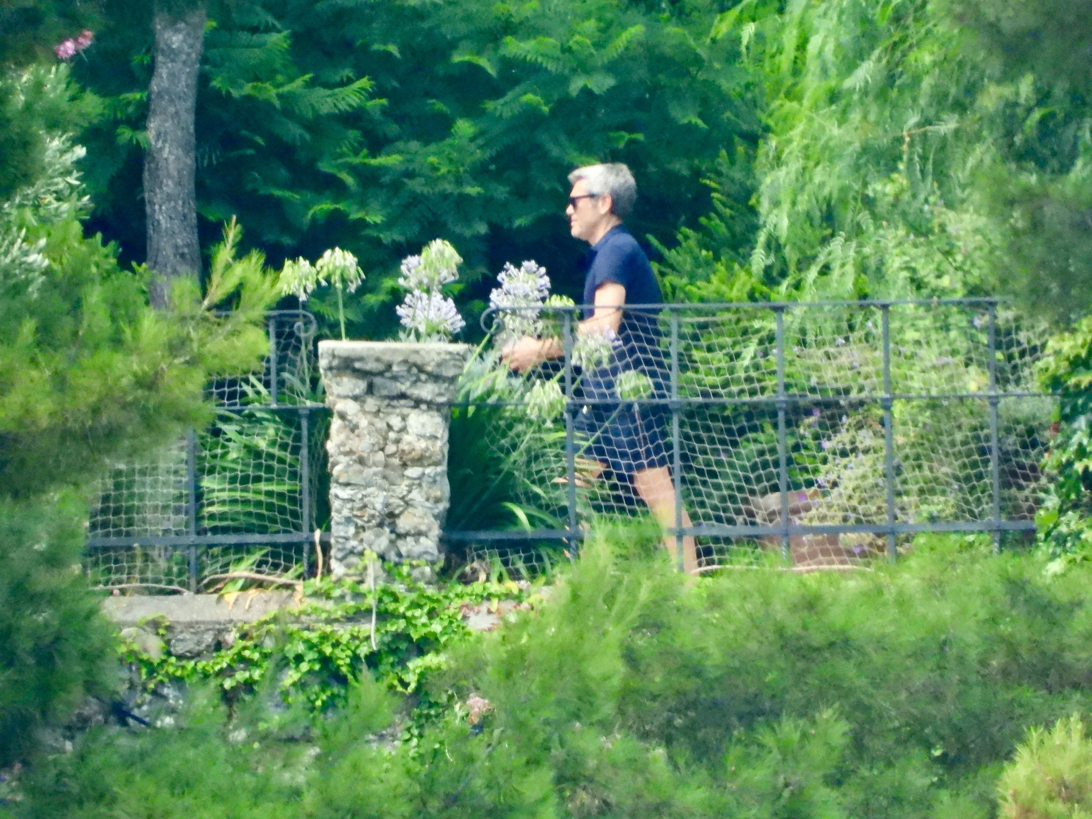 A man in a dark blue polo shirt and sunglasses walks past a stone column and a metal fence in a lush, green garden.