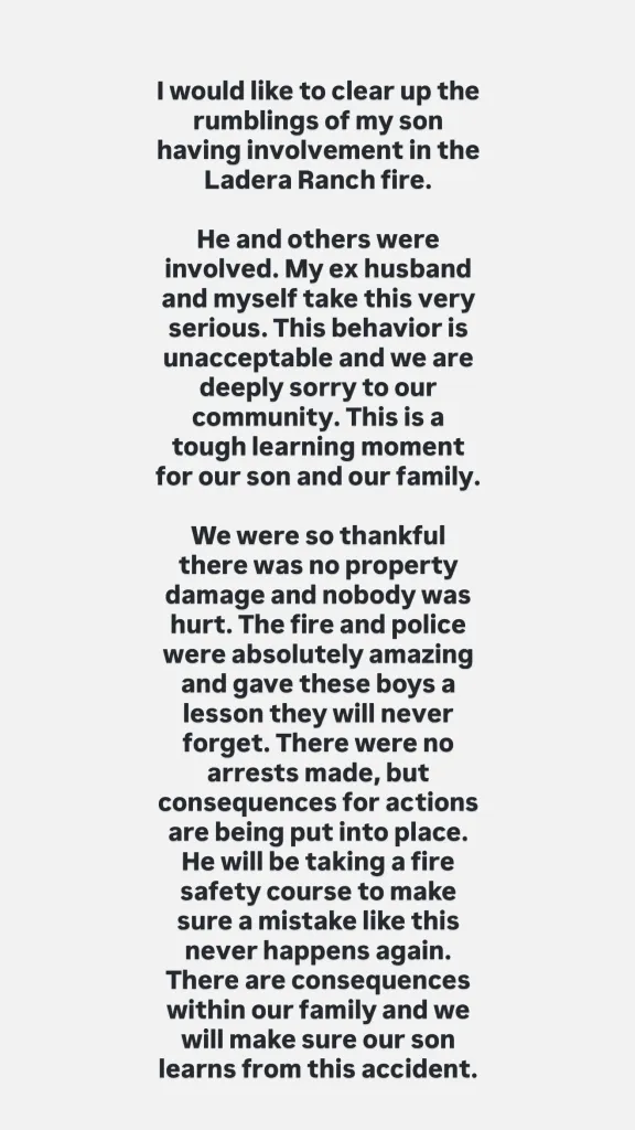 Text from Real Housewives star Jennifer Pedranti revealing her son's involvement in a wildfire and the consequences he will face.