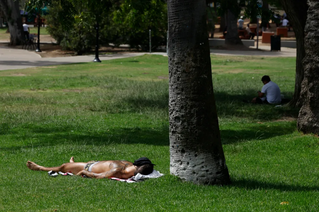 Richard Acosta tanning on the grass beside Echo Park Lake in Los Angeles during a heat wave.