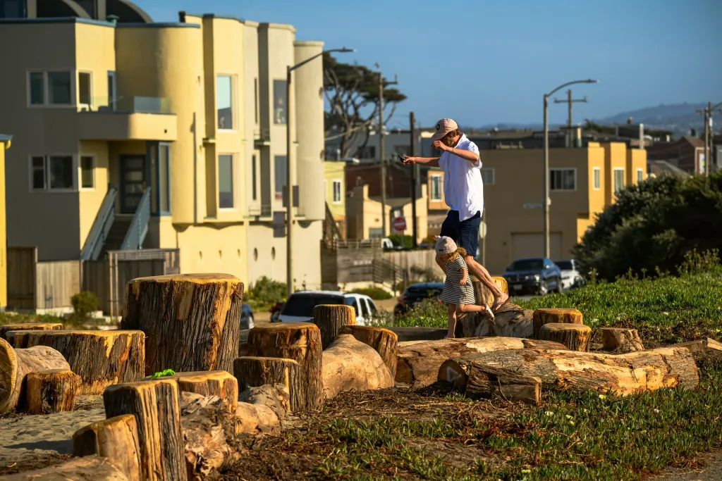 A man and child walk across tree stumps at Sunset Dunes in San Francisco.