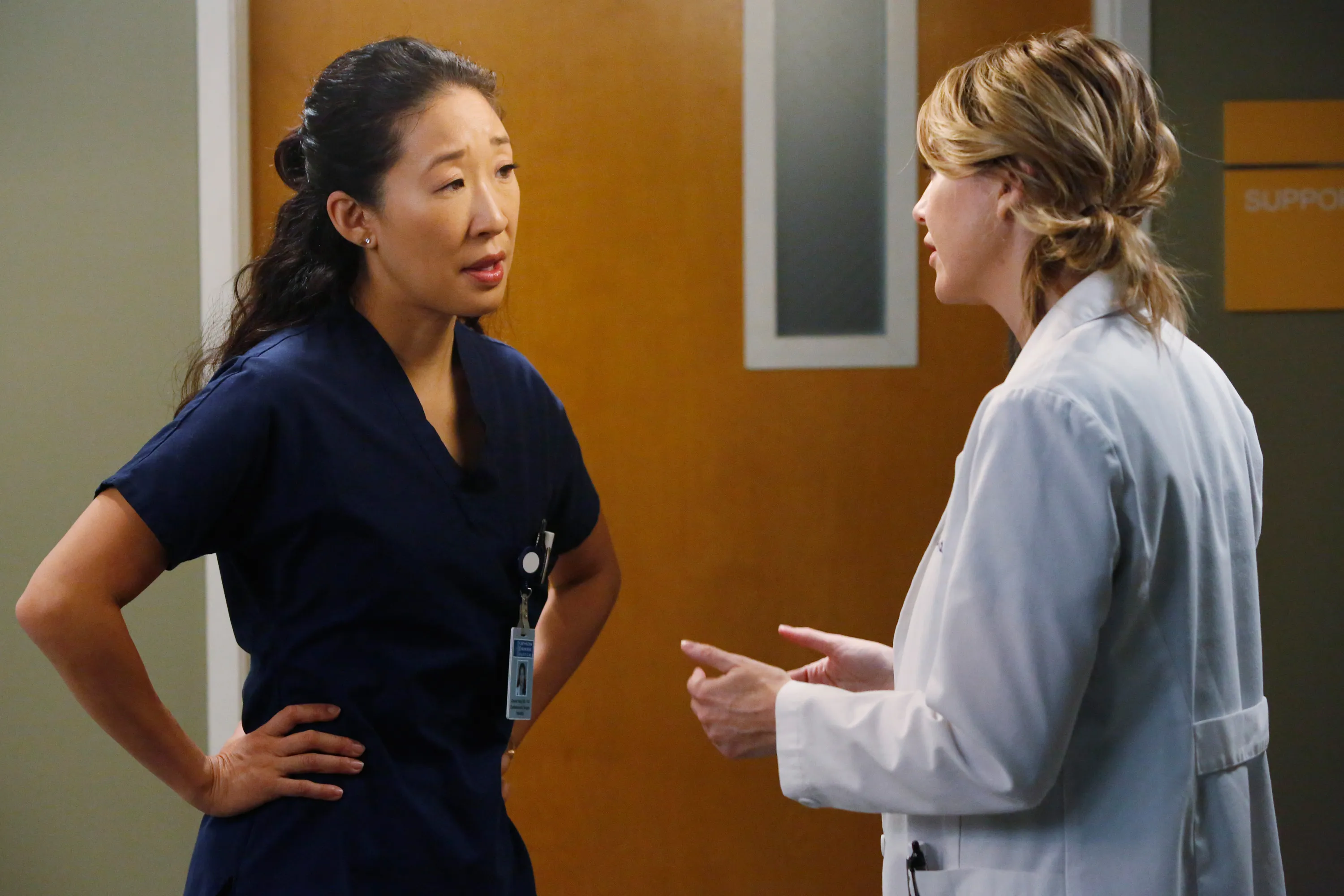 Sandra Oh, Ellen Pompeo in