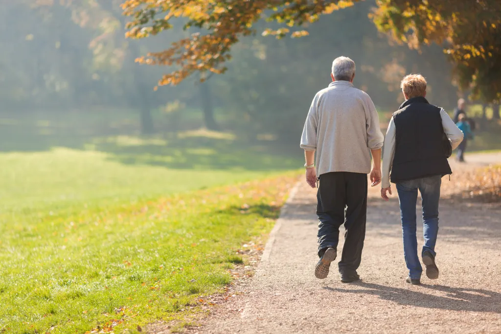 A senior couple walking along a path in an autumn park.