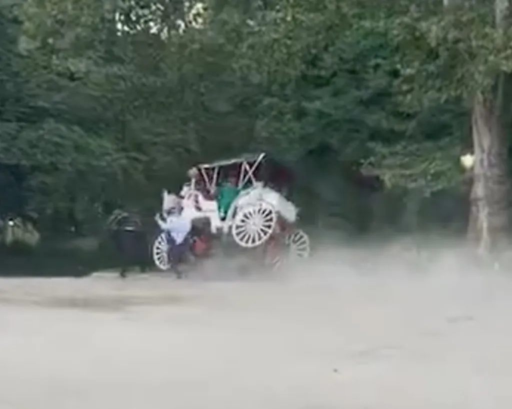 Horse-drawn carriage tipping over and throwing a person onto a dusty ground.