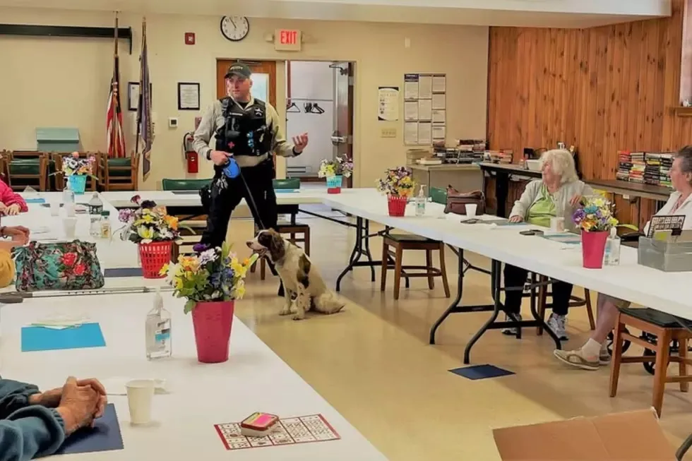 Sgt. Cody Henderson and K9 Boomer demonstrate during an event.