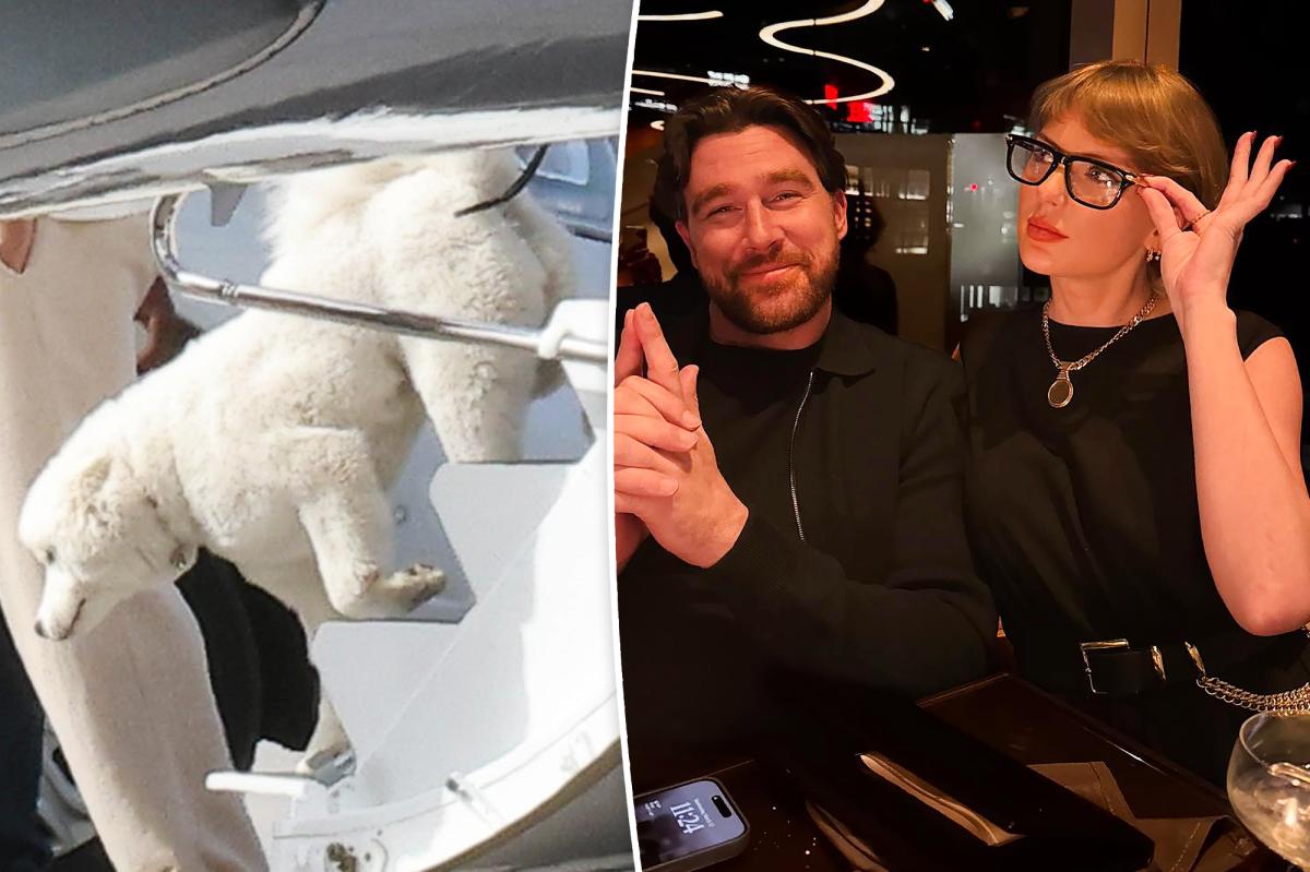 New details on Taylor Swift and Travis Kelce’s pet dog revealed