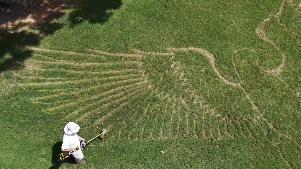 The view above the Trussville, Alabama, property, reveals a striking mural of a bald eagle with its wings outstretched across his front lawn.