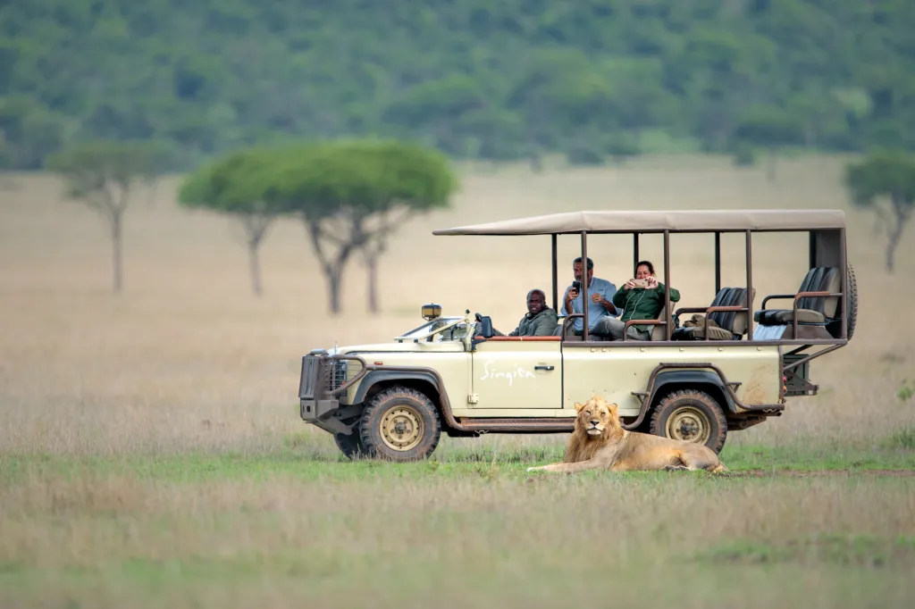 A male lion resting in front of a safari game drive vehicle with people taking photos.