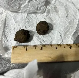 Two small inert cannonballs next to a ruler on a paper towel.