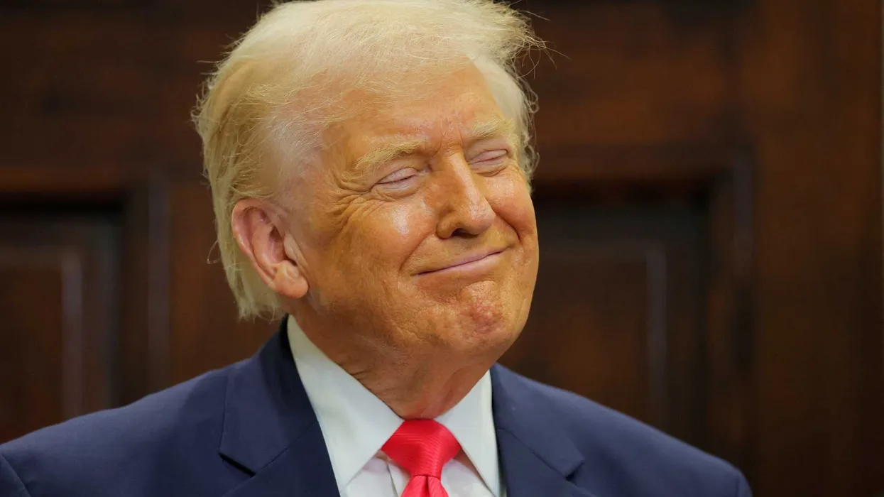 Trump fires entire Federal Election Commission just months before the midterms: report